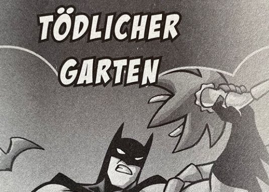 DC Superhelden Batman im Kampf für Gerechtigkeit Kinderbuch ab 8 Jahren DC-Universum