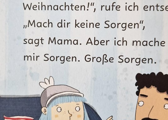 Das Jahr in dem Weihnachten (fast) ausfiel einfach lesen lernen ab 5 Jahren