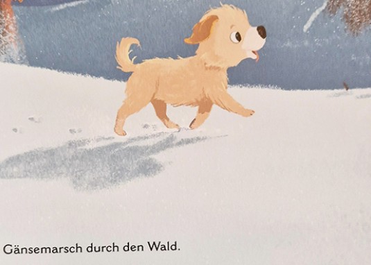 Das Weihnachtswuschel Vorlesebuch ab 3 Jahren