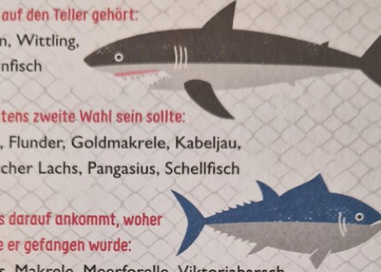 Tiere schützen Kinderbuch ab 8 Jahren