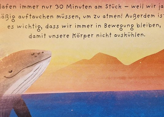 Kleine Tiere werden groß der Wal Sachbuch für Kinder ab 3 Jahren