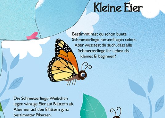 Von der kleinen Raupe zum Schmetterling ab 2 Jahren