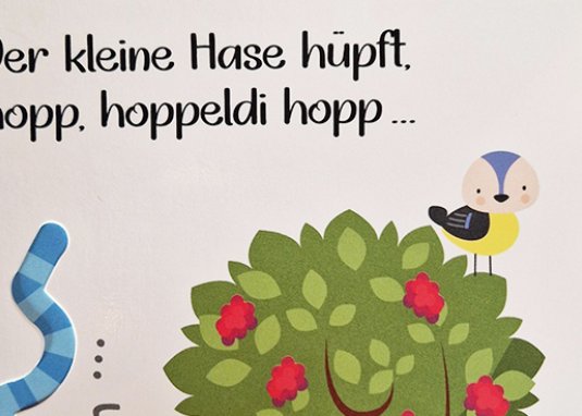 Wohin hüpfst du kleiner Hoppelhase ab 2 Jahren