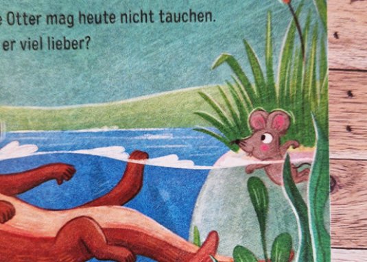 Baby Pixi Buggybuch Findest du die Tierkinder 