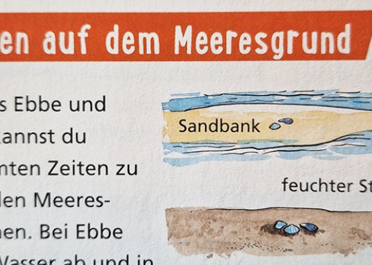 Pixi Wissen Strand und Watt ab 6 Jahren