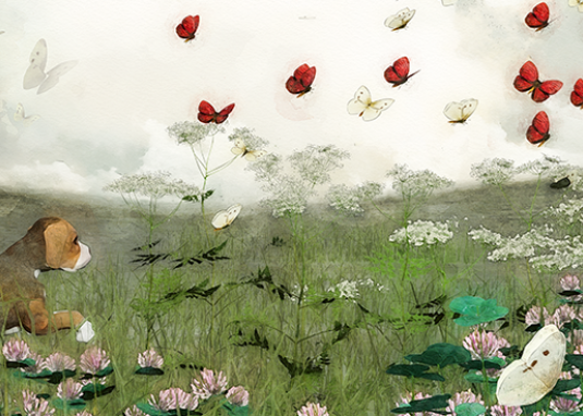 Herbsthundewetter Kinderbuch Bilderbuch ab 3 Jahren