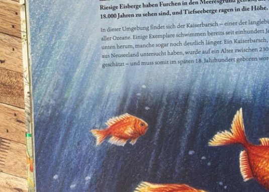 Von Eintagsfliege bis Grönlandwal Kinderbuch Sachbuch ab 5 Jahren