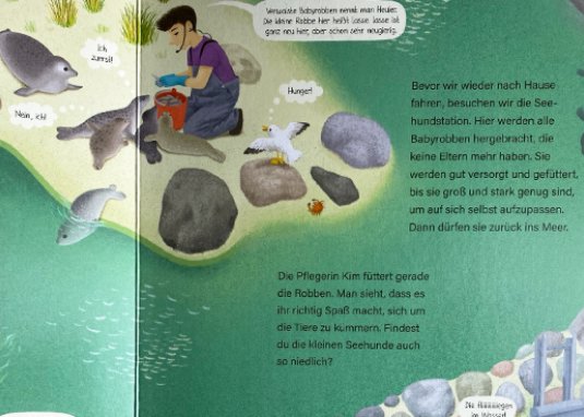 Komm, wie fahren ans Meer Kinderbuch ab 3 Jahren