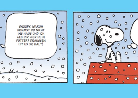 Snoopy hat's drauf Kinderbuch ab 8 Jahren