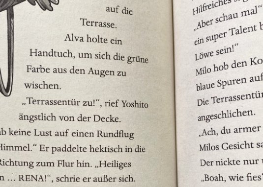 School of Talents 8 Achte Stunde Walfrei Kinderbuch ab 8 Jahren
