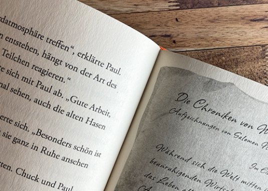 Whisperworld 6 Jagd durchs Eis Kinderbuch ab 9 Jahren