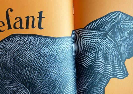 A wie Biene Kinderbuch ab 5 Jahren