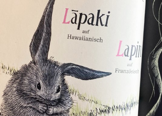 A wie Biene Kinderbuch ab 5 Jahren