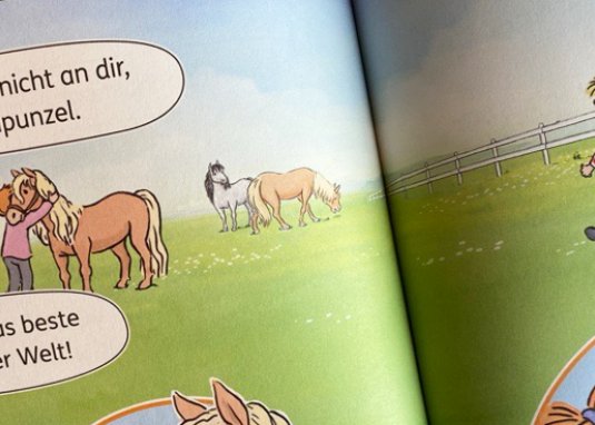 Conni und das Reiterfest Kinderbuch ab 6 Jahren