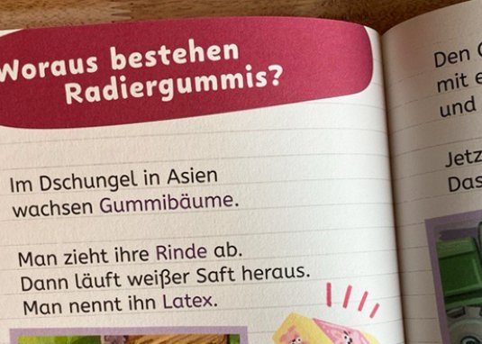 Wissen zum Schulstart Deutsch Kinderbuch ab 5 Jahren