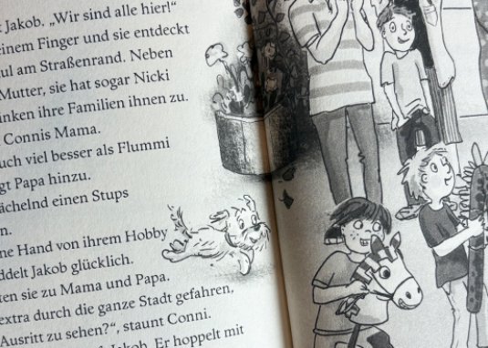 Conni und die Stecken-Ponys Kinderbuch ab 8 Jahren