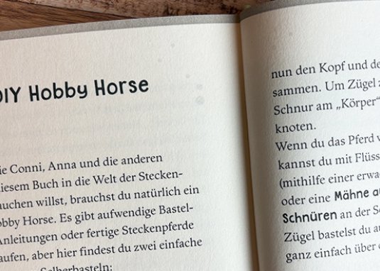 Conni und die Stecken-Ponys Kinderbuch ab 8 Jahren