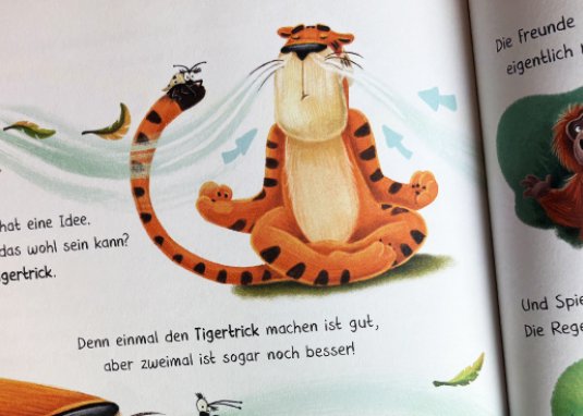 Der achtsame Tiger So ein Kuddelmuddel Kinderbuch ab 3 Jahren