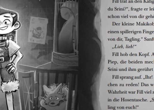 Das Geheimnis von Nox 3 Kinderbuch ab 9 Jahren