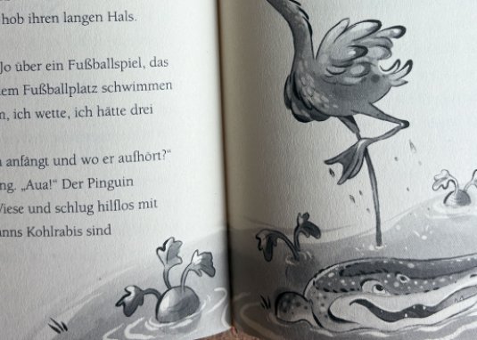 Die Schule der magischen Tiere Band 16 Land Unter!