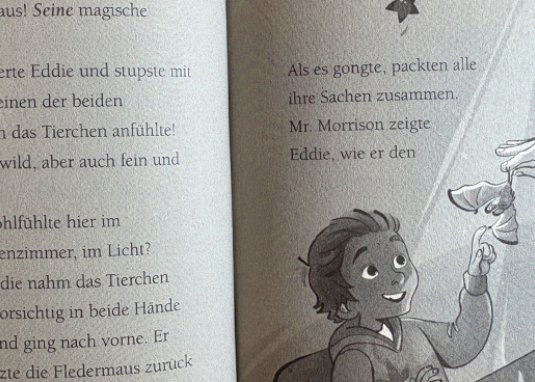 Die Schule der magsichen Tiere Band 4 Licht aus!