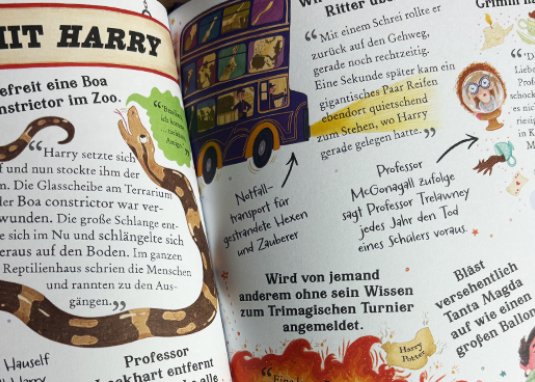 Potter Guides Harry Potter Kinderbuch ab 6 Jahren 