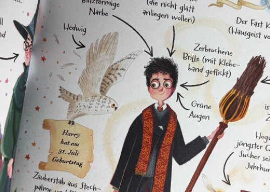 Potter Guides Harry Potter Kinderbuch ab 6 Jahren 