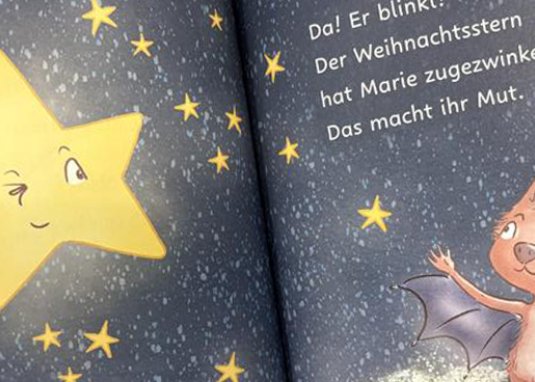 Weihnachten im Winterschlaf Kinderbuch ab 5 Jahren