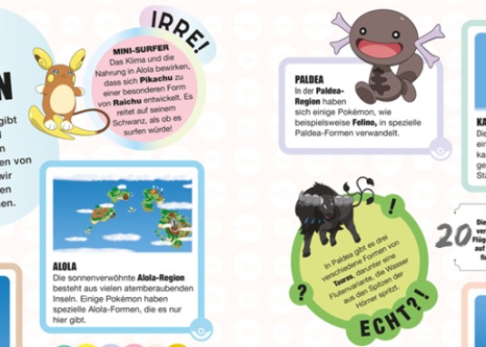 Pokémon Handbuch: Alles was du wissen musst Banner 2