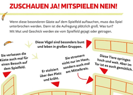 Fußball Academy: Das große Fußball-Rätselbuch Banner 1