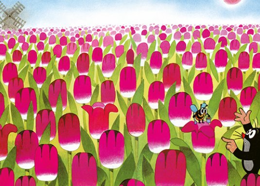 Das große ABC-Buch mit dem kleinen Maulwurf: Tulpenwiese