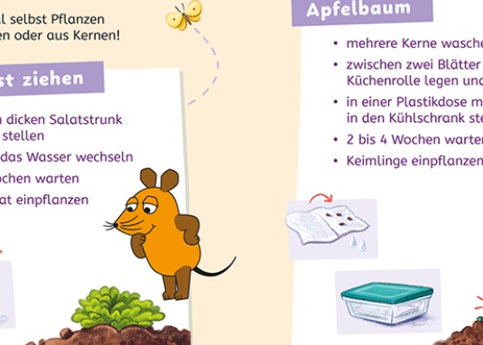 Frag doch mal ... die Maus: Wissen zum Schulstart: Natur und Umwelt Kinderbuch ab 5 Jahren 1