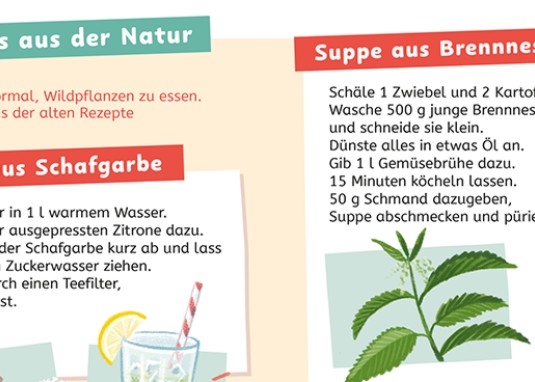 Frag doch mal ... die Maus: Wissen zum Schulstart: Natur und Umwelt Kinderbuch ab 5 Jahren 2