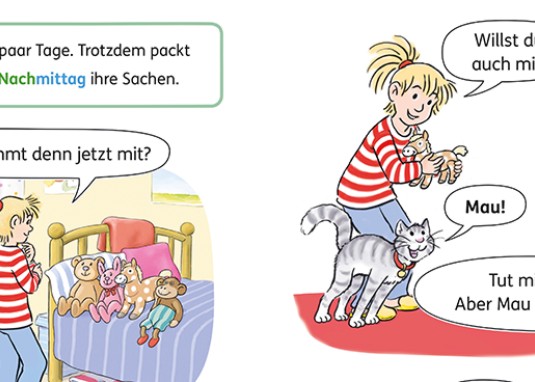 Lesen lernen mit Conni: Conni und die Nacht in der Schule Kinderbuch ab 6 Jahren Banner 2