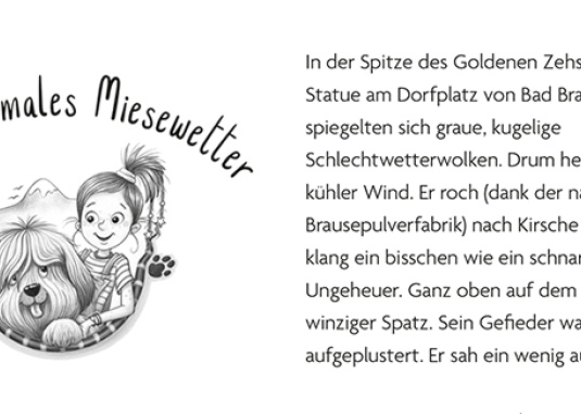 Insel der Tier-Abenteuer 4: Wilder Wetter-Schluckauf Kinderbuch ab 8 Jahren Banner 1