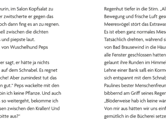 Insel der Tier-Abenteuer 4: Wilder Wetter-Schluckauf Kinderbuch ab 8 Jahren Banner 2