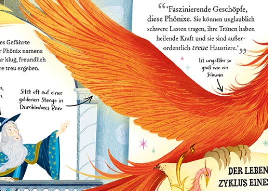 Potter Guides: Professor Dumbledore Kinderbuch ab 6 Jahren Banner 